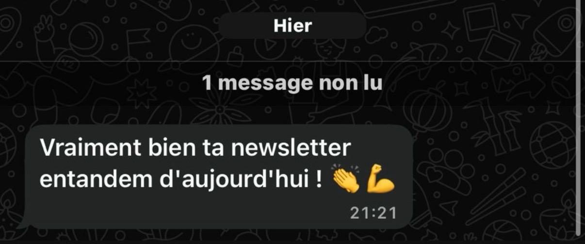 Message WhatsApp sur la newsletter